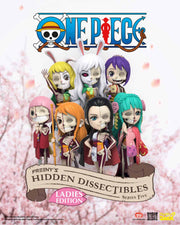 Freeny's Hidden Dissectibles: One Piece (Ladies Edition)