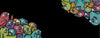 Distort Monsters