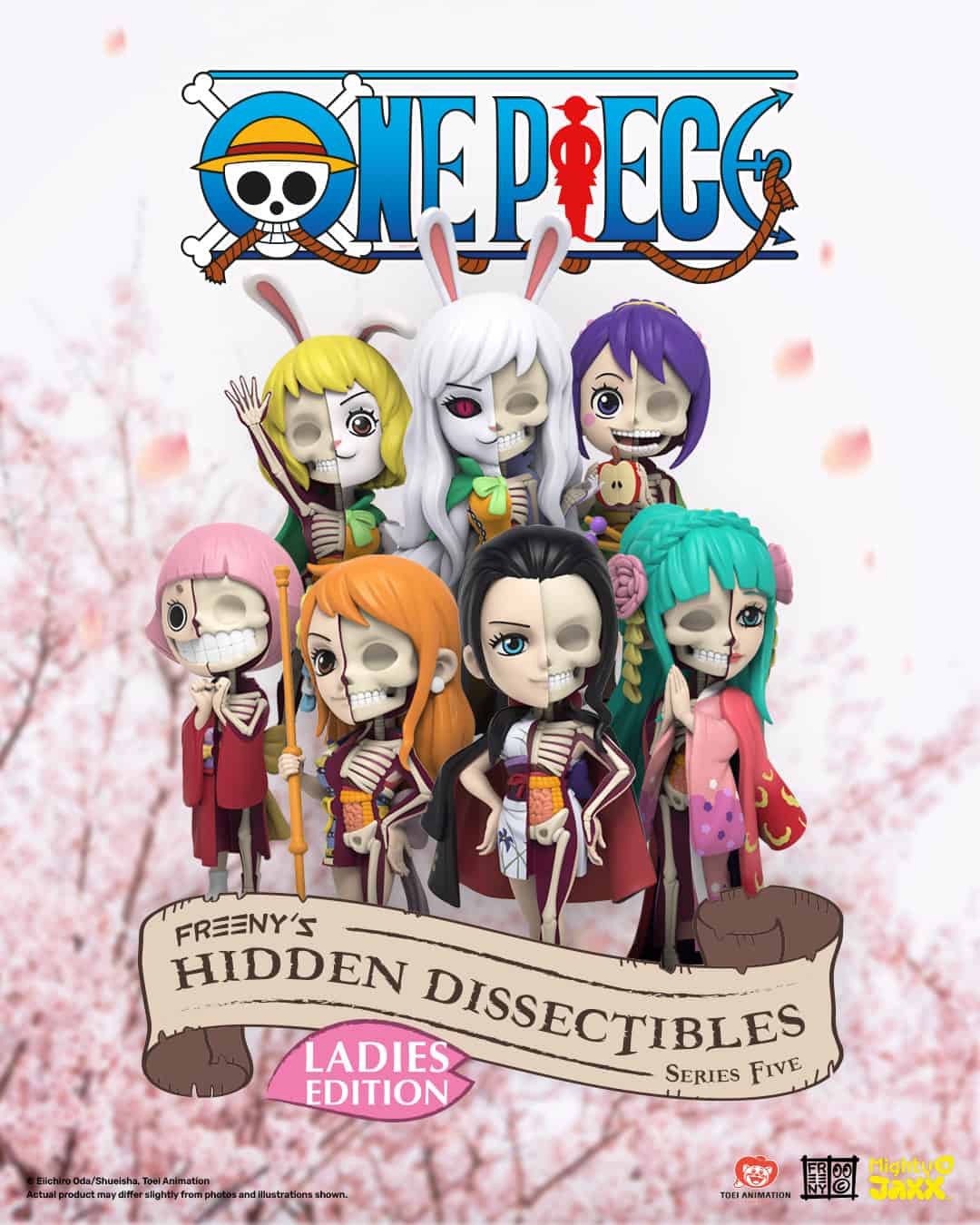 Freeny's Hidden Dissectibles: One Piece (Ladies Edition