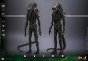 [Pre-Order] MMS826 – Alien 1/6th scale Big Chap Collectible Figure