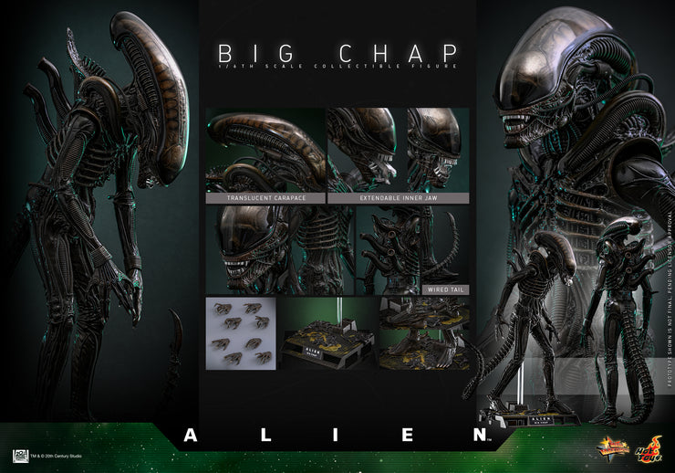 [Pre-Order] MMS826 – Alien 1/6th scale Big Chap Collectible Figure