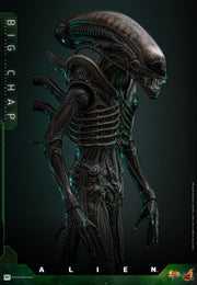 [Pre-Order] MMS826 – Alien 1/6th scale Big Chap Collectible Figure