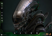 [Pre-Order] MMS826 – Alien 1/6th scale Big Chap Collectible Figure