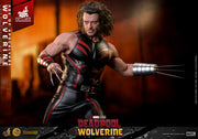 [Pre-Order] MMS819AE - Deadpool & Wolverine - 1/6th scale Age of Apocalypse Wolverine Collectible Figure (Artisan Edition) [Hot Toys Exclusive]