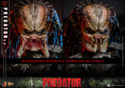 [Pre-Order] MMS816 - Predator - 1/6th scale Predator (2.0) Collectible Figure