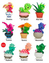 Tokidoki Botanical Harmony Unicorno Blind Box