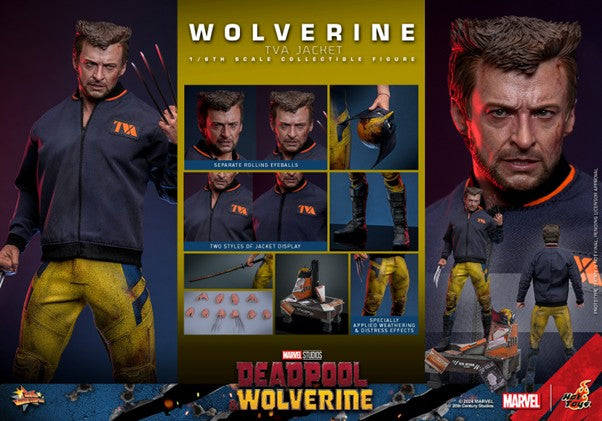 MMS756 - Deadpool & Wolverine - 1/6th scale Wolverine (TVA Jacket