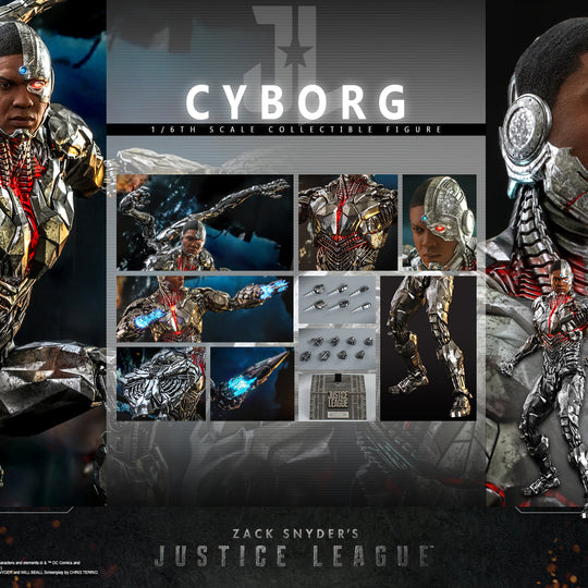 TMS057 - 1/6th scale Cyborg Collectible Figure