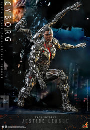 TMS057 - 1/6th scale Cyborg Collectible Figure