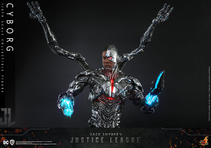 TMS057 - 1/6th scale Cyborg Collectible Figure