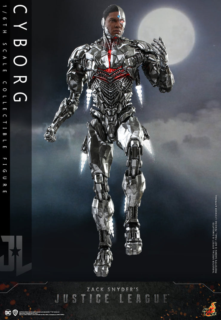 TMS057B - 1/6th scale Cyborg Collectible Figure (Special Edition)