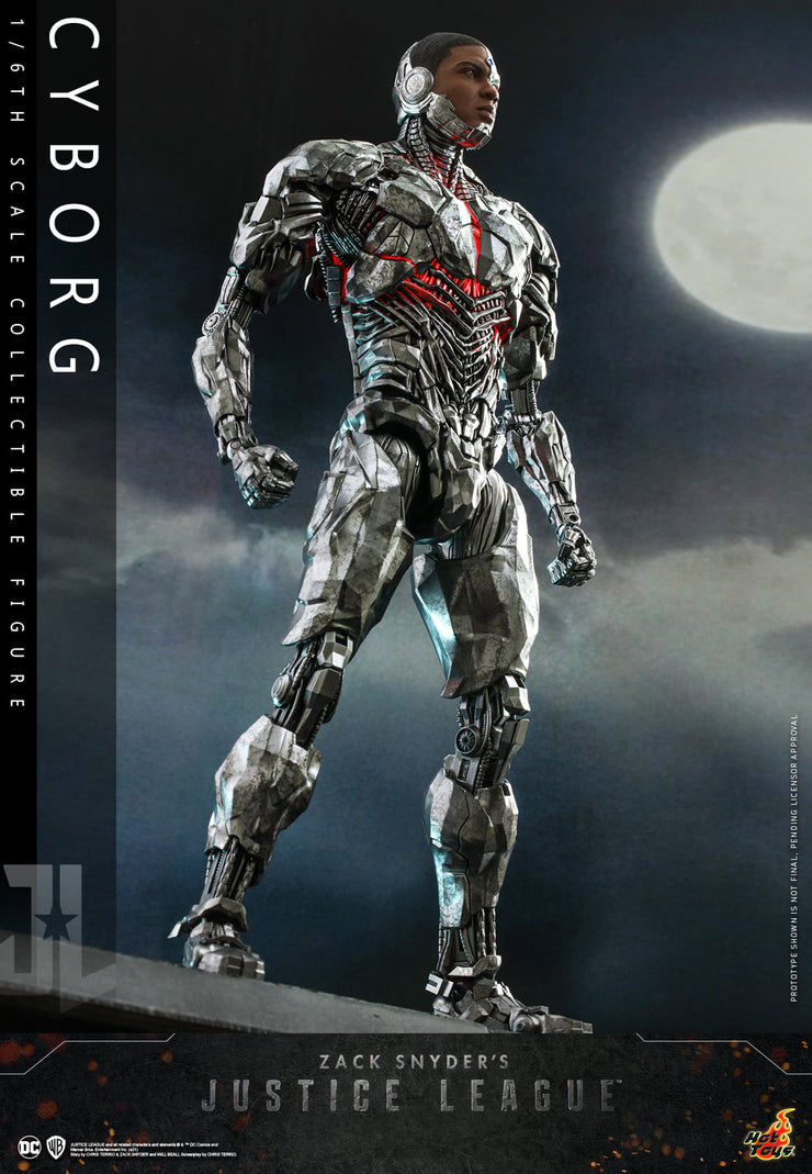 TMS057 - 1/6th scale Cyborg Collectible Figure