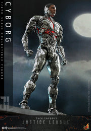 TMS057B - 1/6th scale Cyborg Collectible Figure (Special Edition)