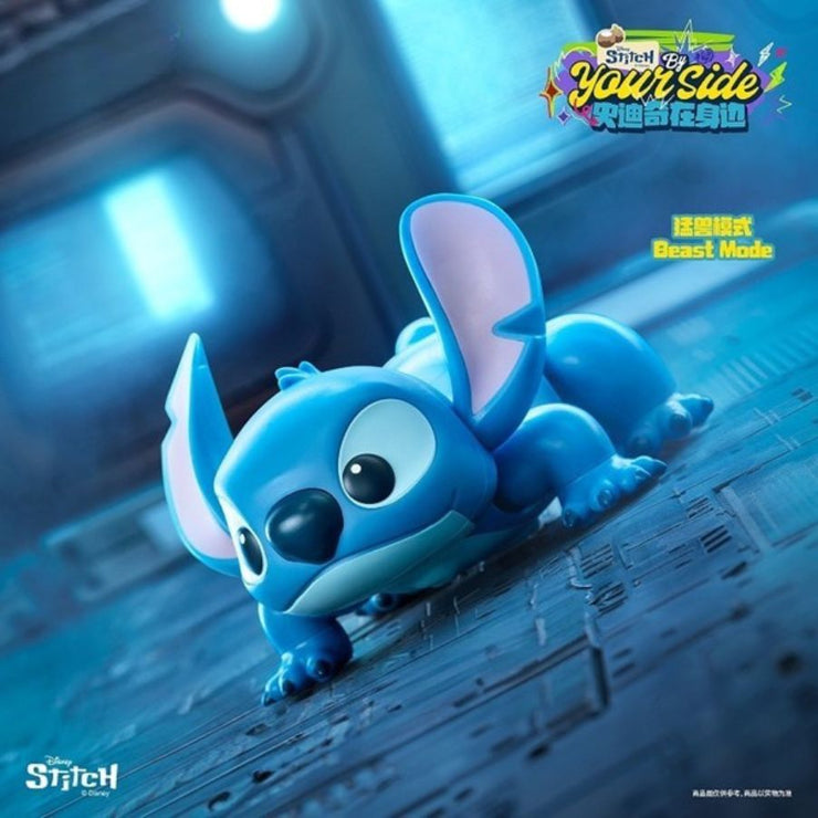 Stitch by Your Side Series
