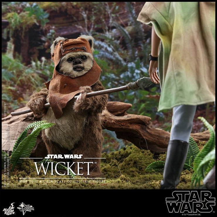 MMS550 - Star Wars: Return of the Jedi - 1/6th Scale Wicket