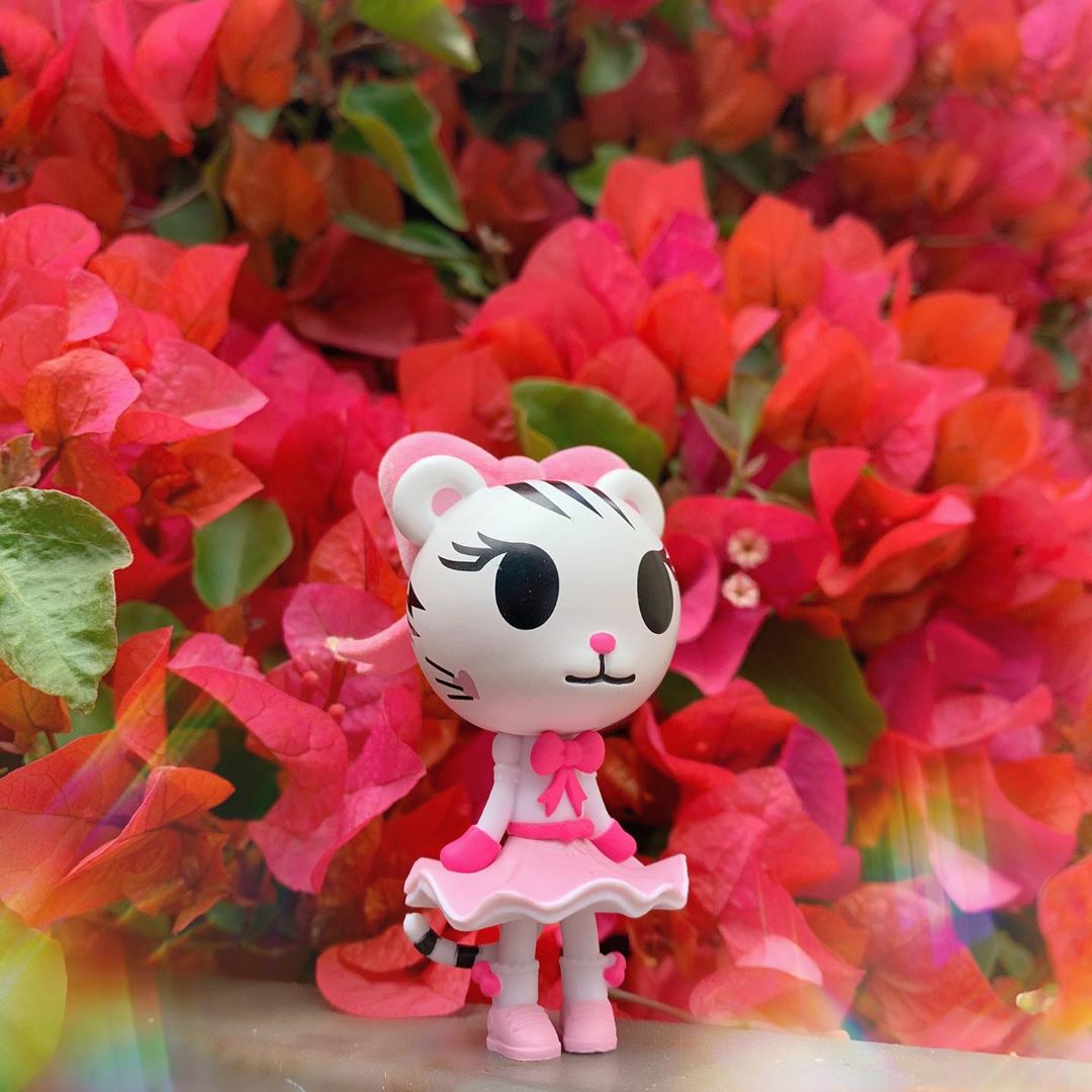 ActionCity Live: tokidoki Tiger Nation - Case of 12 Blind Boxes - ActionCity