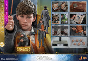 MMS512B - Fantastic Beasts: The Crimes of Grindelwald – Newt Scamander (Special Edition) - ActionCity